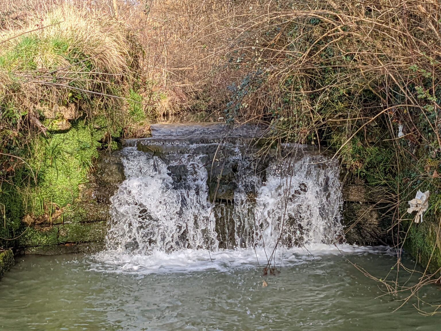 Arboretum du Bassecq