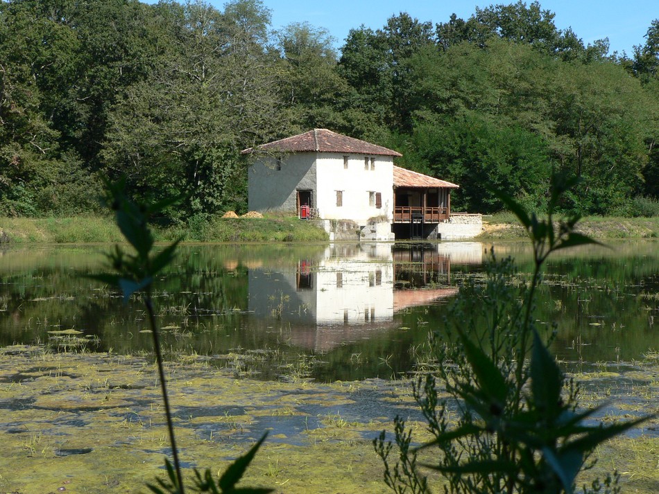 Étang de la Gaube