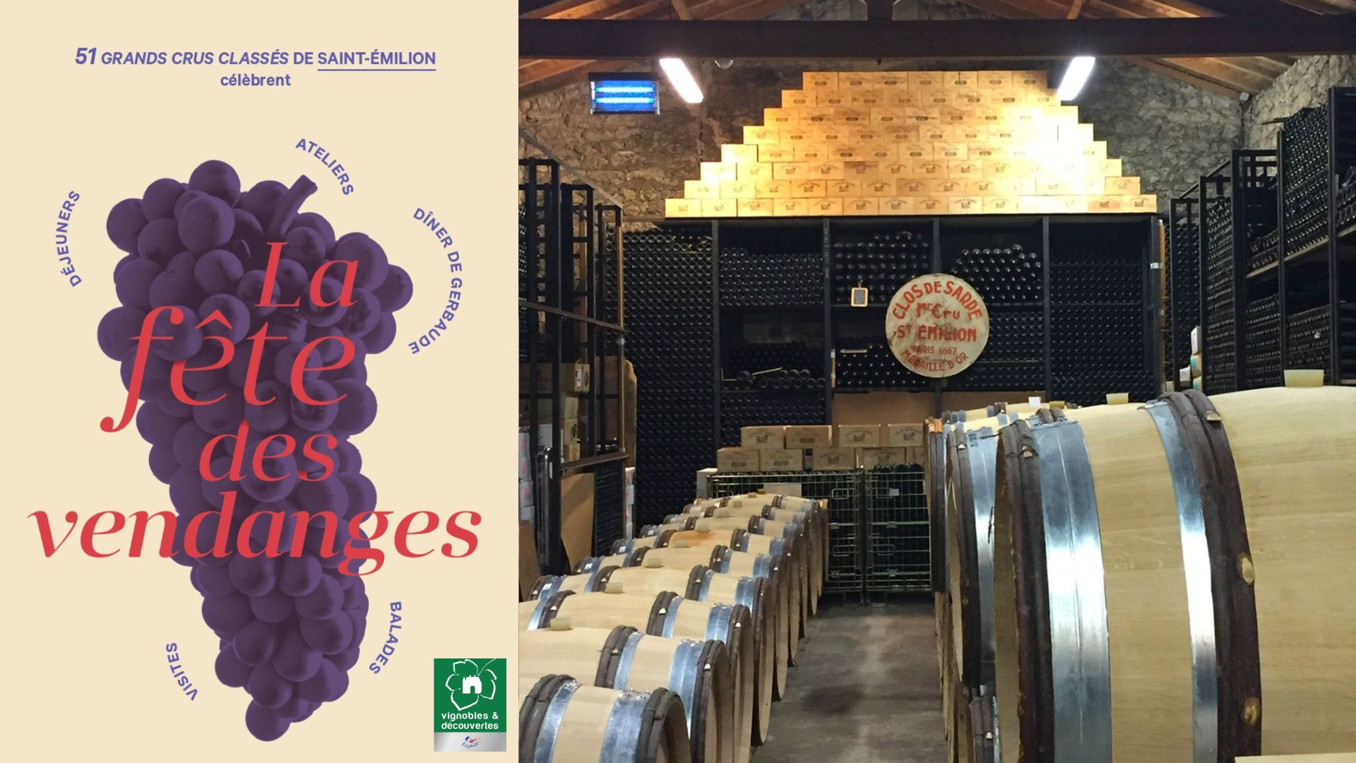 Atelier Immersion dans les instants clés de la vinification