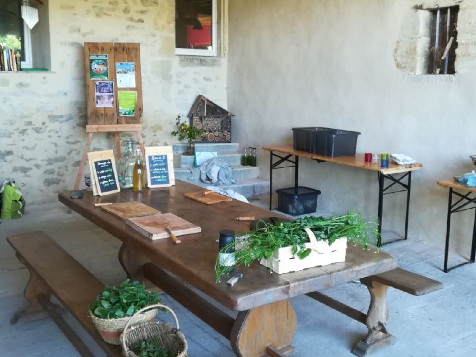 Ô Jardin des Kamis