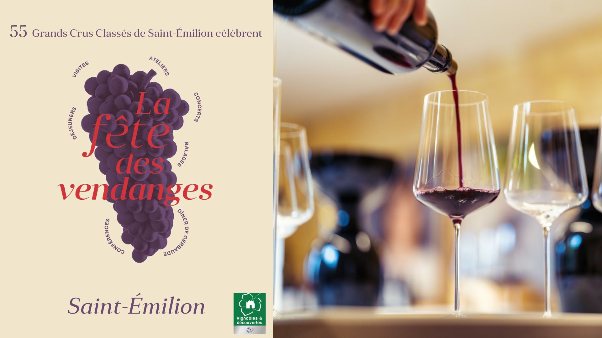 Atelier Immersion dans les instants clés de la vinification