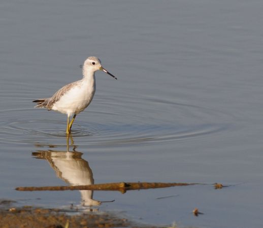 Lac de Lescourroux