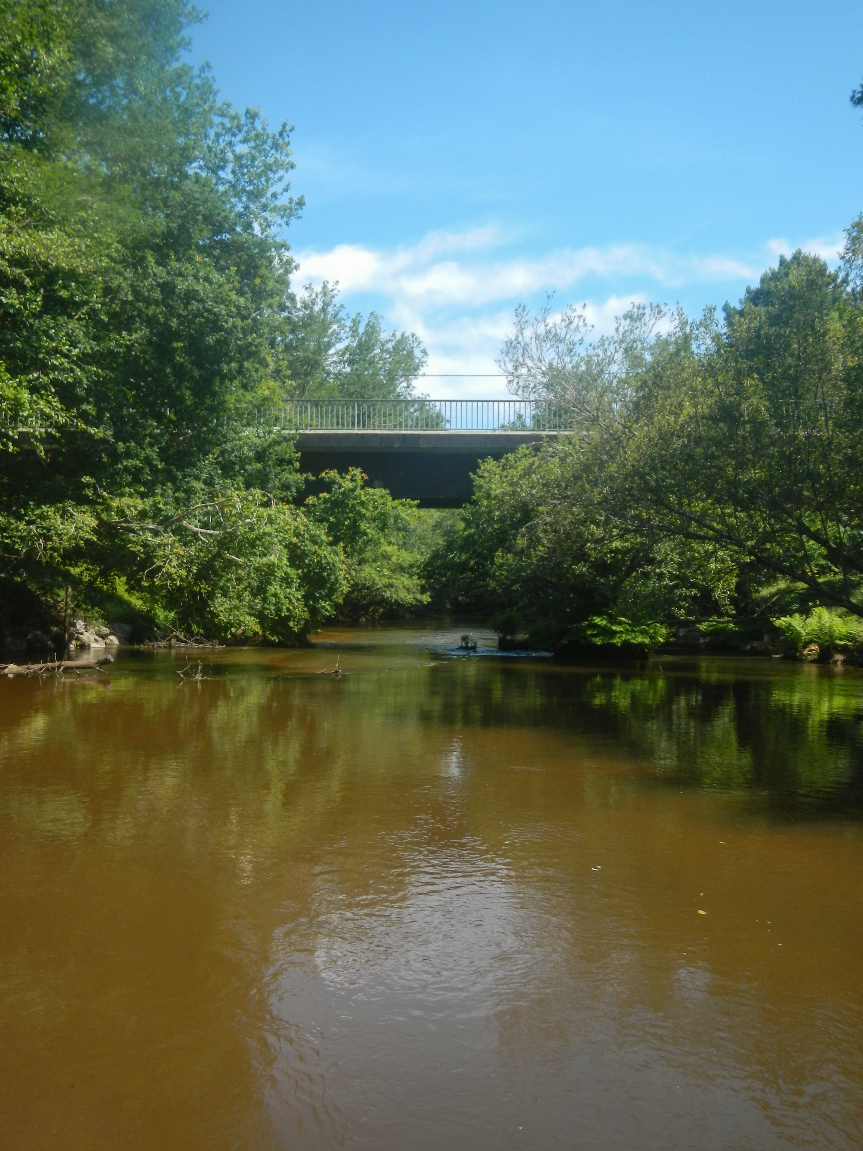 Le pont de Saugnacq