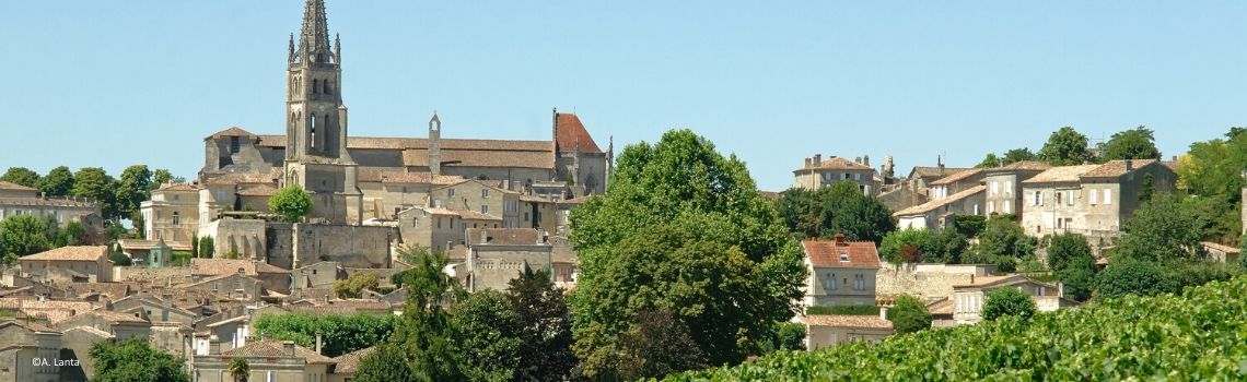 Balade et dégustation à Saint-Emilion - Grand cru classé immersion au coeur d'un vignoble  inscrit à l'Unesco