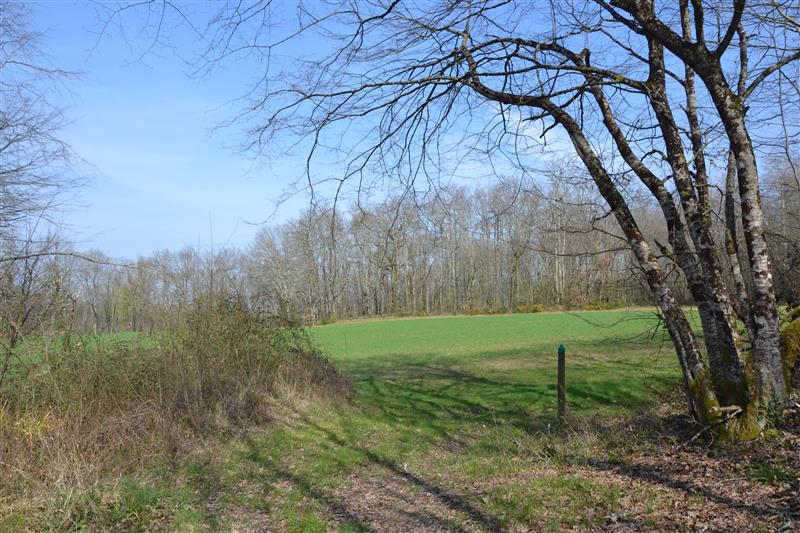 BL de Roquebrune E10