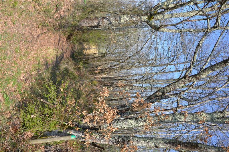 BL de Roquebrune E11