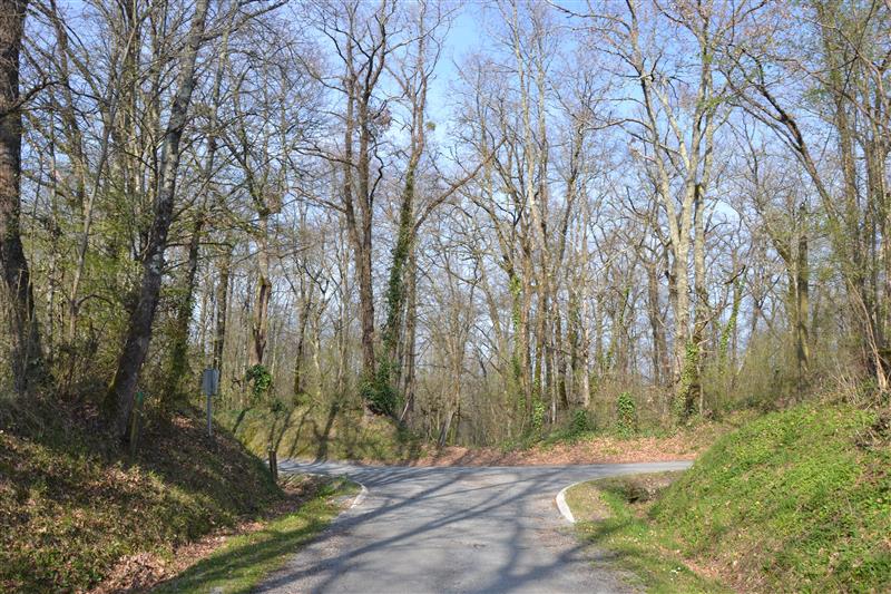 BL de Roquebrune E13