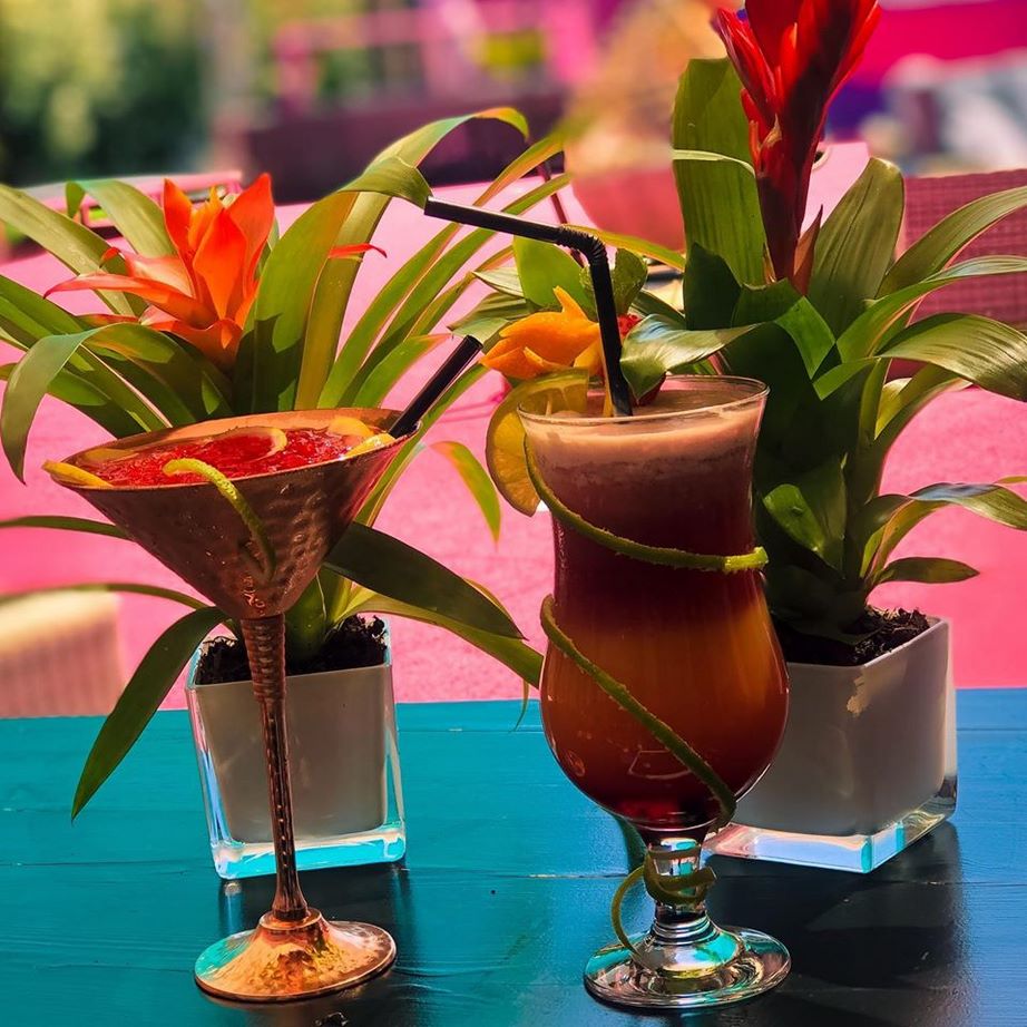 Bar Le Palm - Le Stelsia Casino