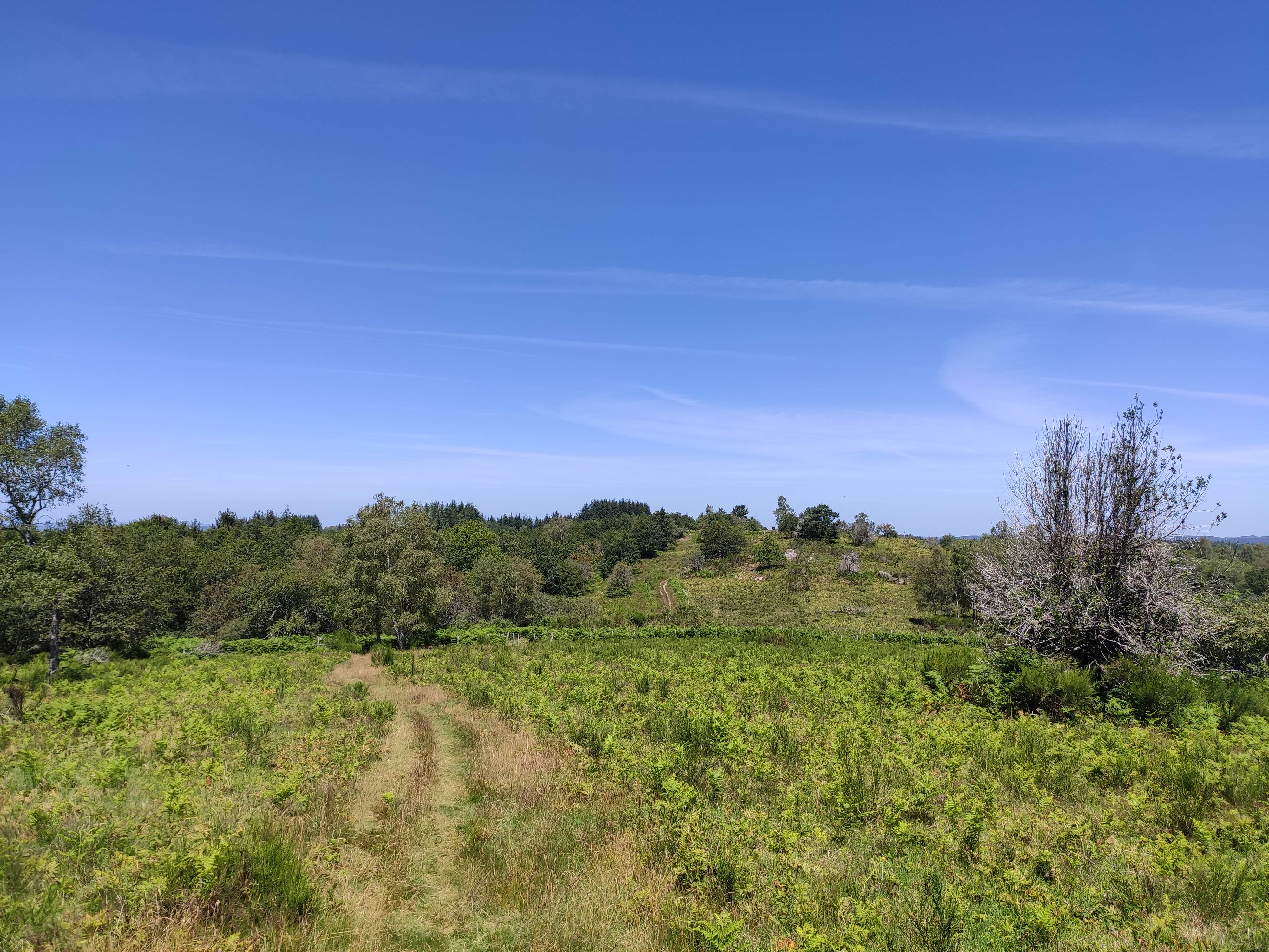 Le Puy de la Besse, site des roches brunagères