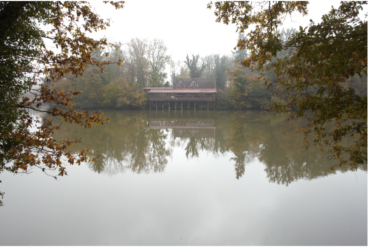 Etang du Bois Pouvreau