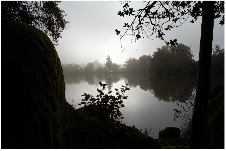 Etang de Bois Pouvreau