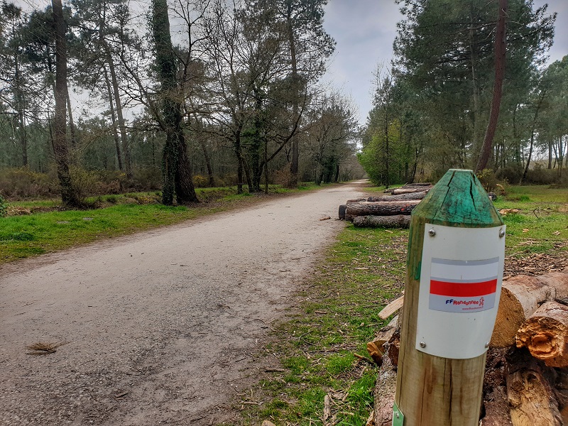 Le bois des sources du Peugue