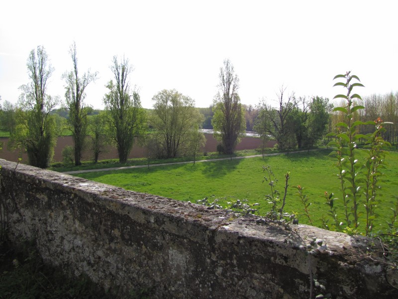 Bords de Garonne _Saint_Macaire_800