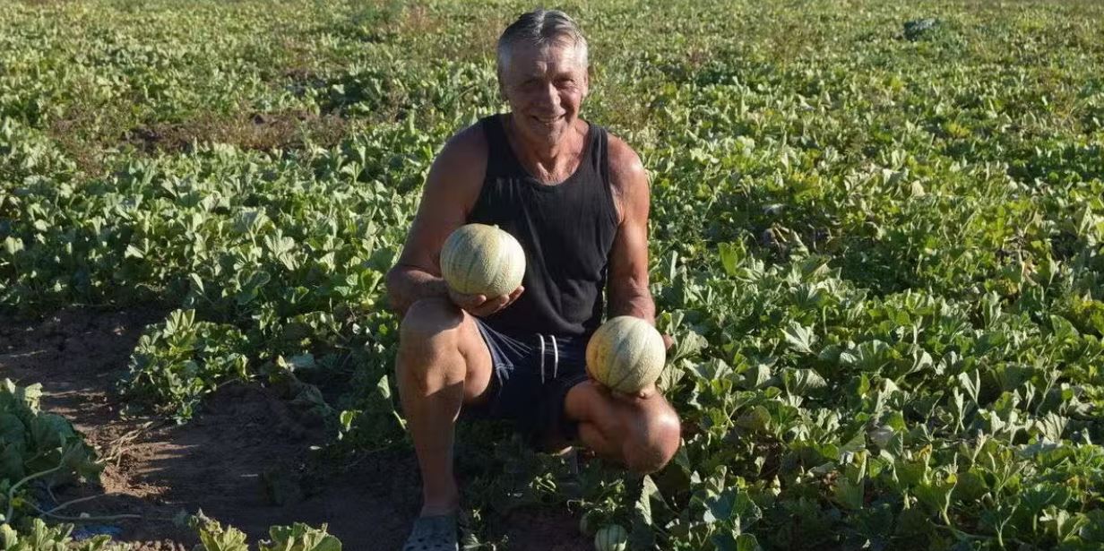 Pierre-Louis Boschetti, maraîcher - photo 4