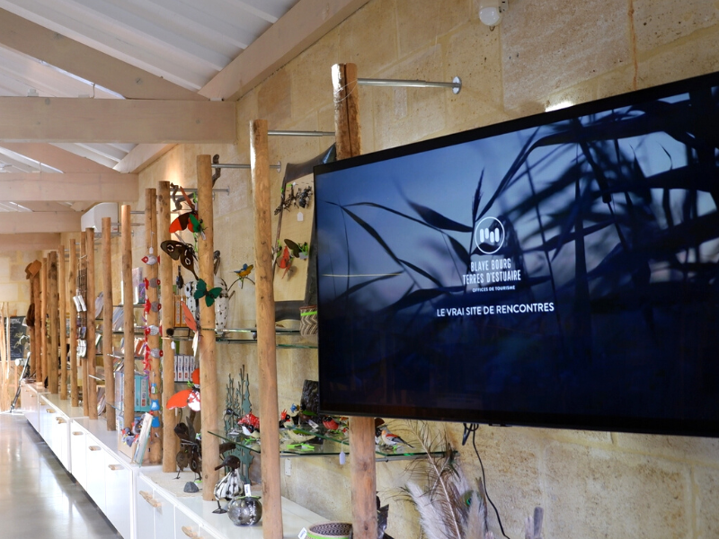 Boutique Estuaire Tourisme & Terres d'Oiseaux, Braud-et-Saint-Louis - photo 11