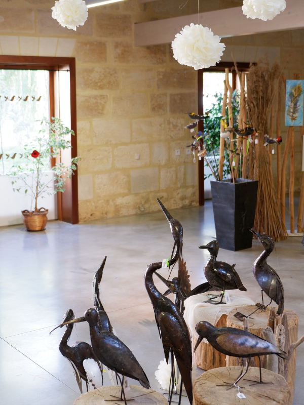 Boutique Estuaire Tourisme & Terres d'Oiseaux, Braud-et-Saint-Louis - photo 5