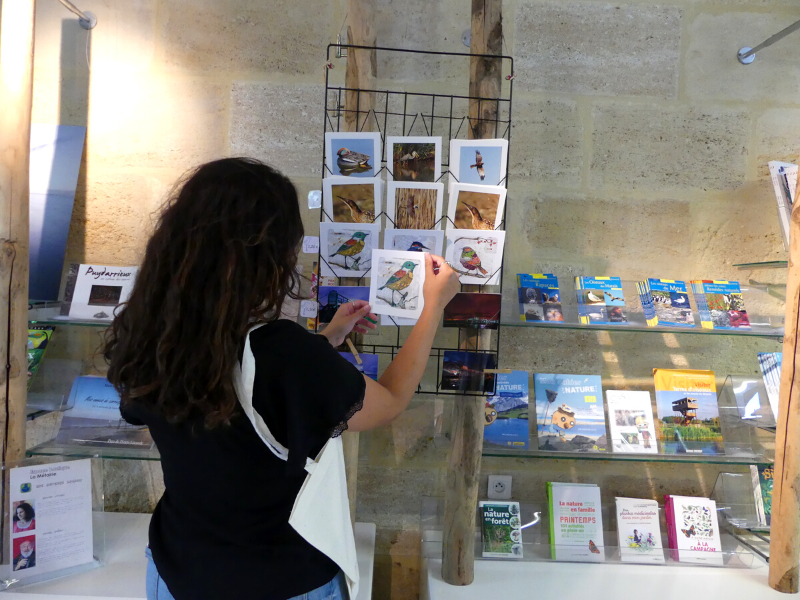 Boutique Estuaire Tourisme & Terres d'Oiseaux, Braud-et-Saint-Louis - photo 9