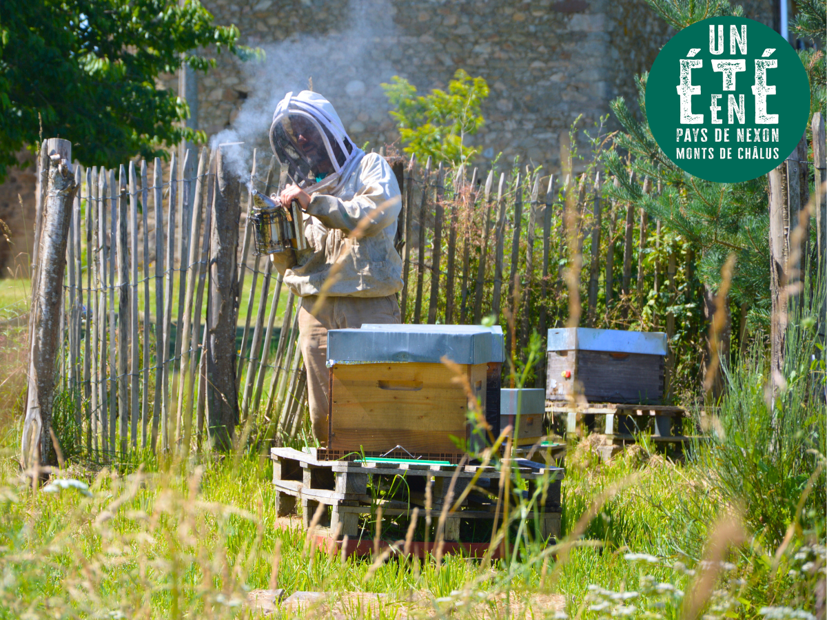 À la rencontre des producteurs - La miellerie Paysages de Miels