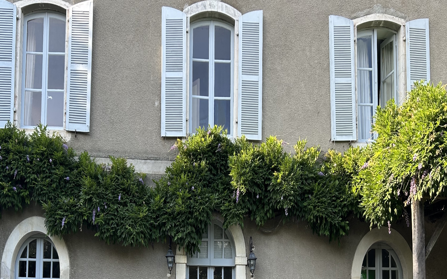 Café d'Arts des Pyrénées - photo 3