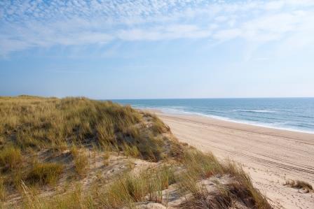 Dunes