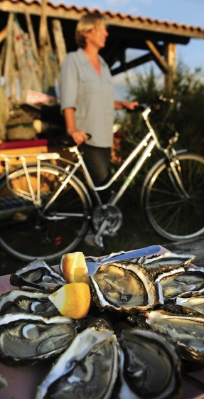 Le Tour du Bassin d'Arcachon à vélo - Du Cap-Ferret à la Dune du Pilat
