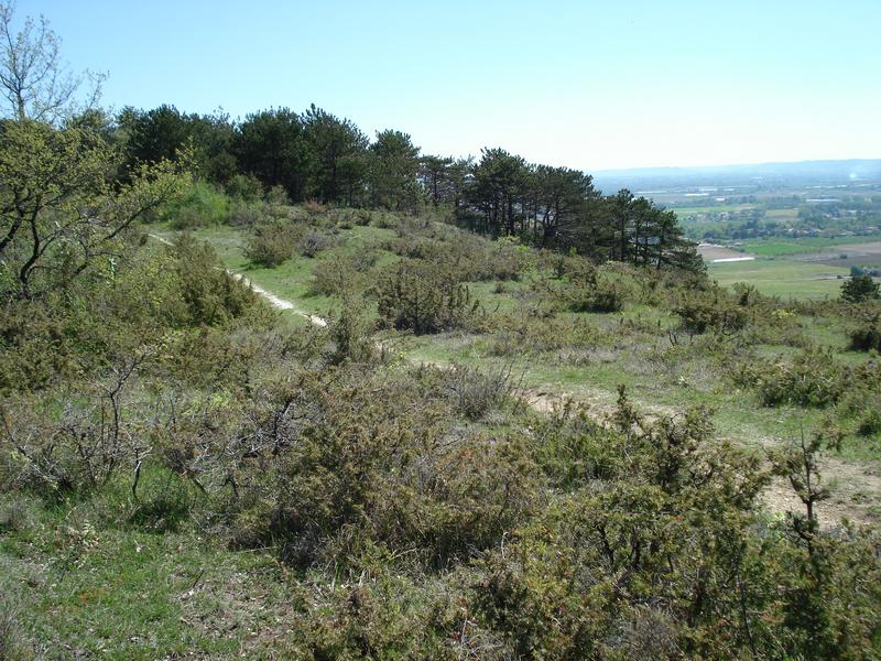 Le Coteau de Pinel