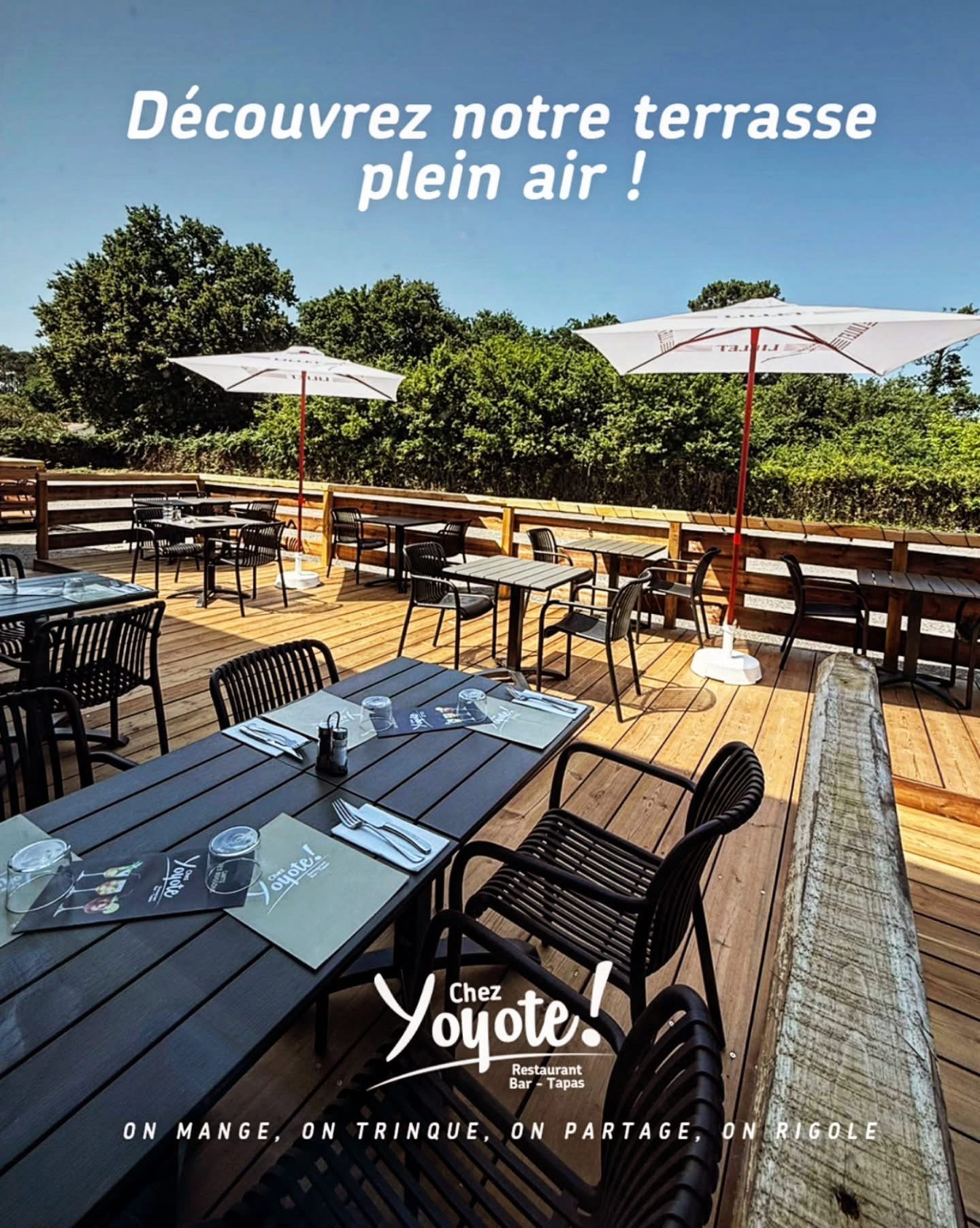 Chez Yoyote