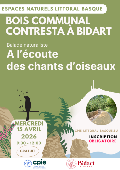 Sortie nature, à l'écoute des chants d'oiseaux au bois de Contresta à Bidart - CPIE Littoral basque