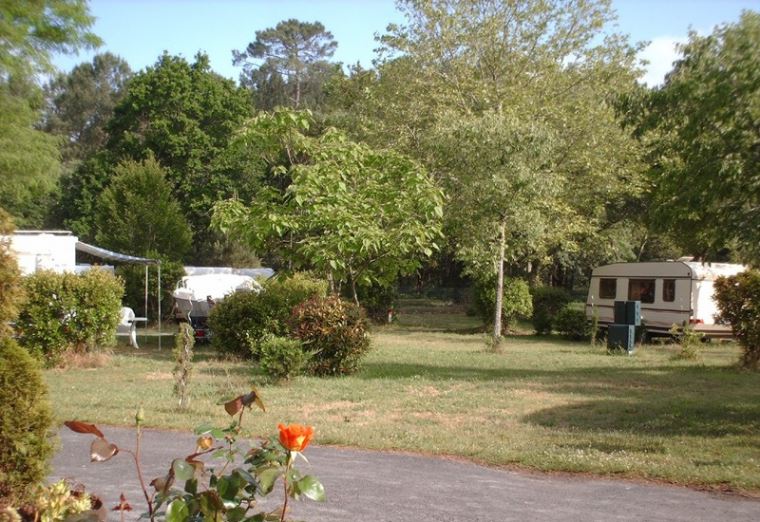Camping Bel Air Lac de Cazaux