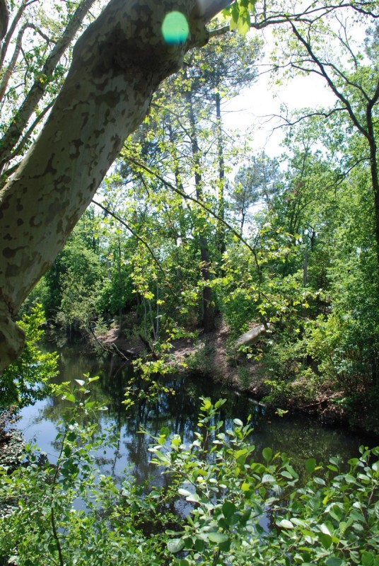 Canal des Landes