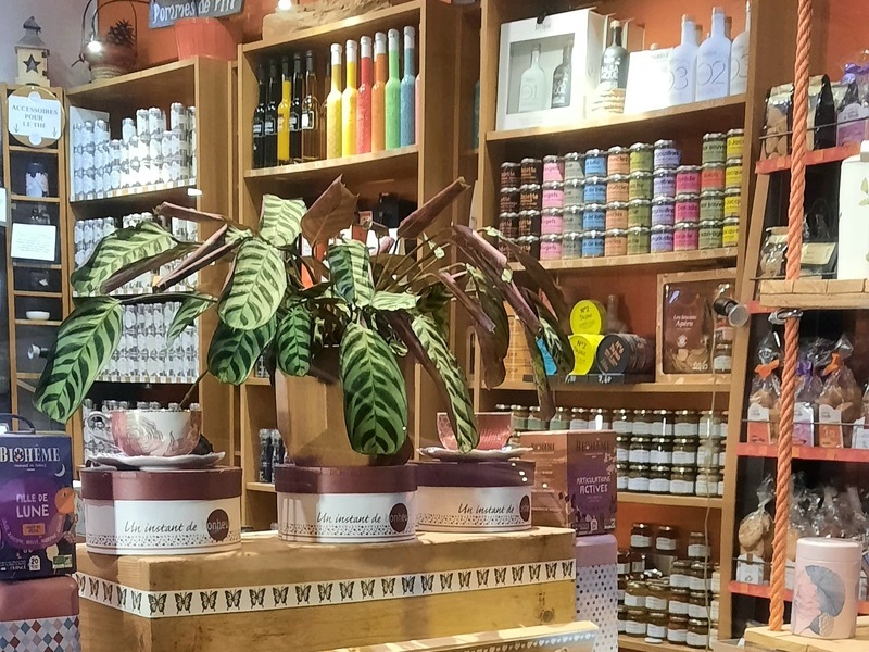 Cannelle et Vanille, Langon - photo 4