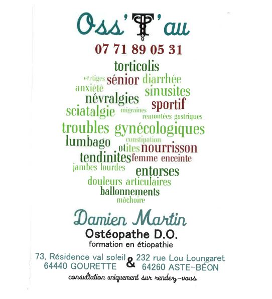 Monsieur Damien MARTIN