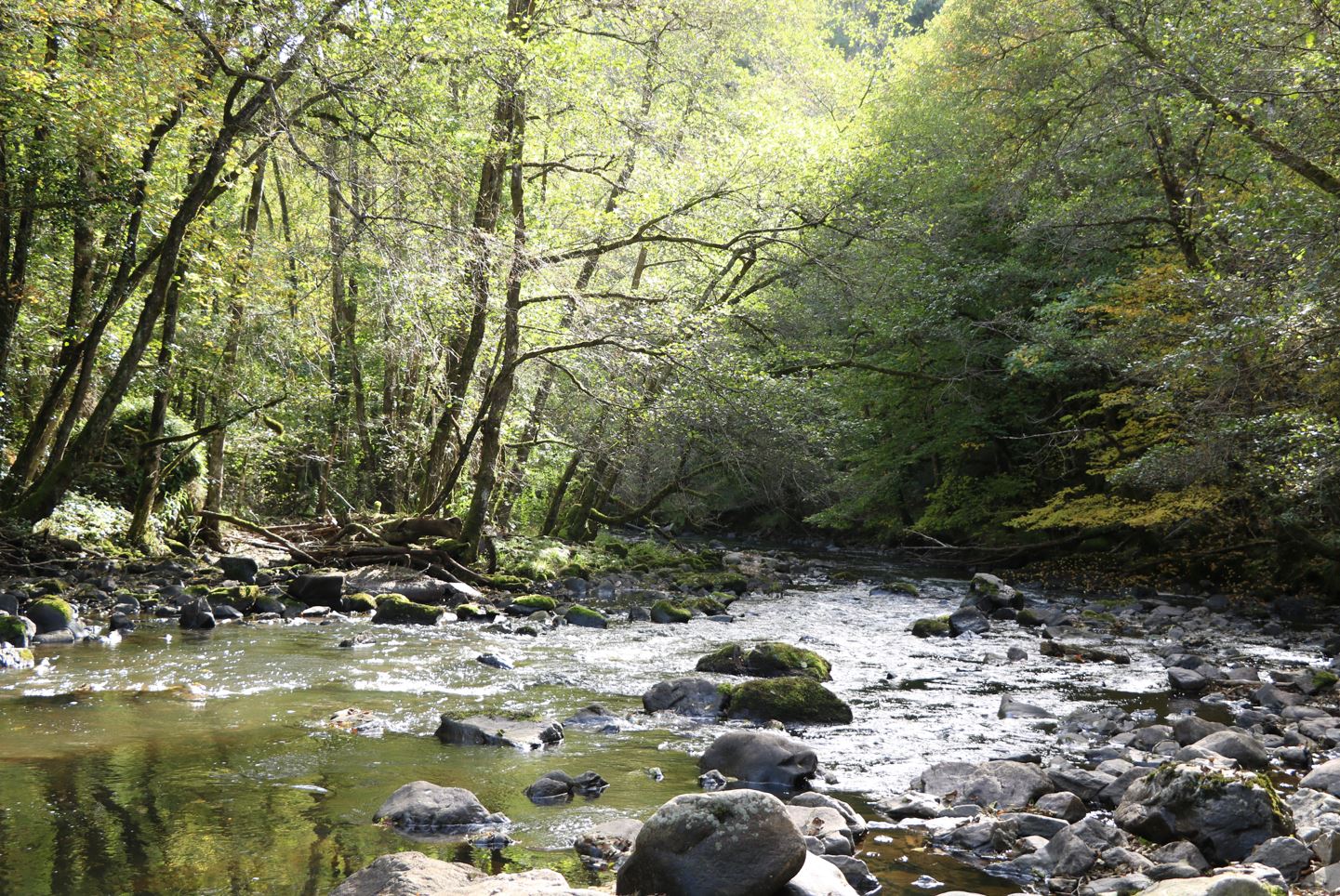 La vallée du Chavanon