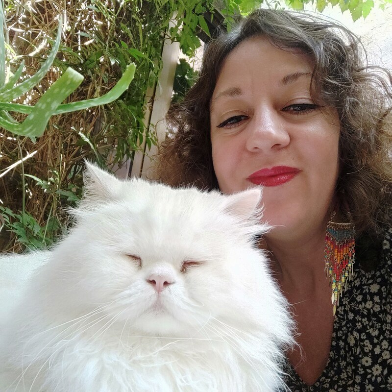 Le Cat Quarts, Saint-Macaire - photo 10