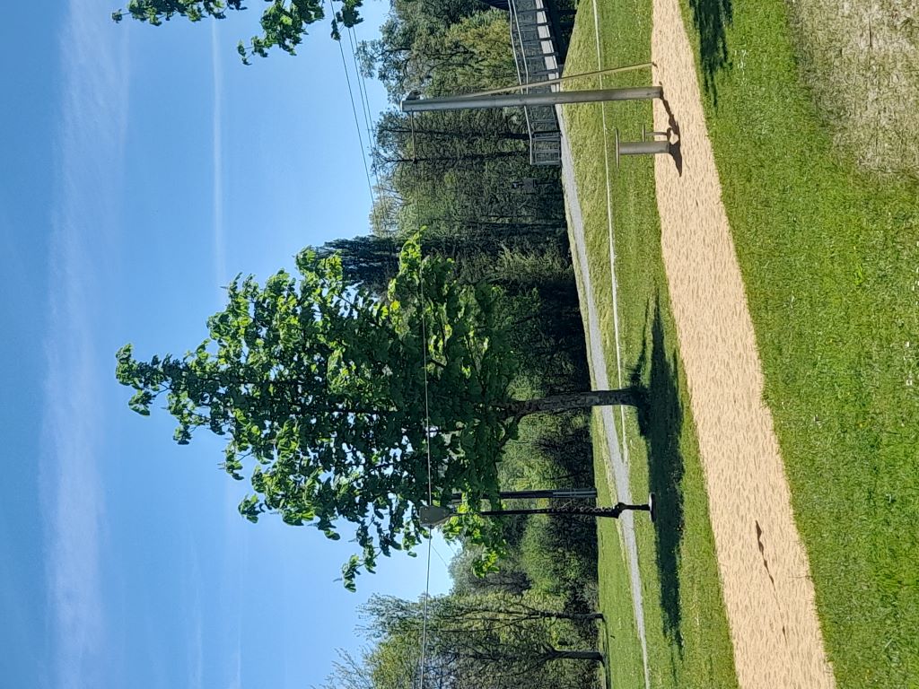 Aire de jeux de la Base de Loisirs de Chandos