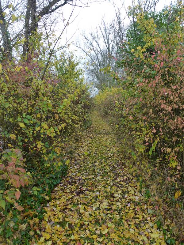 Weg nach der Passage