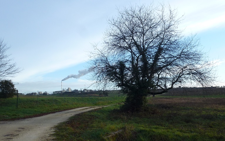 Departure path with view of distillery