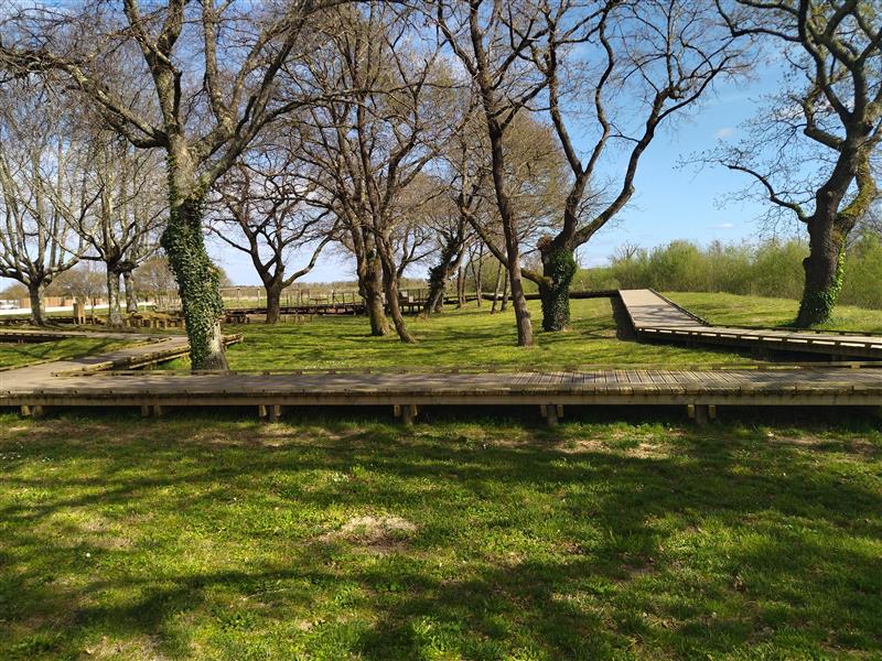 Cheminement en bois et jeux pour enfants