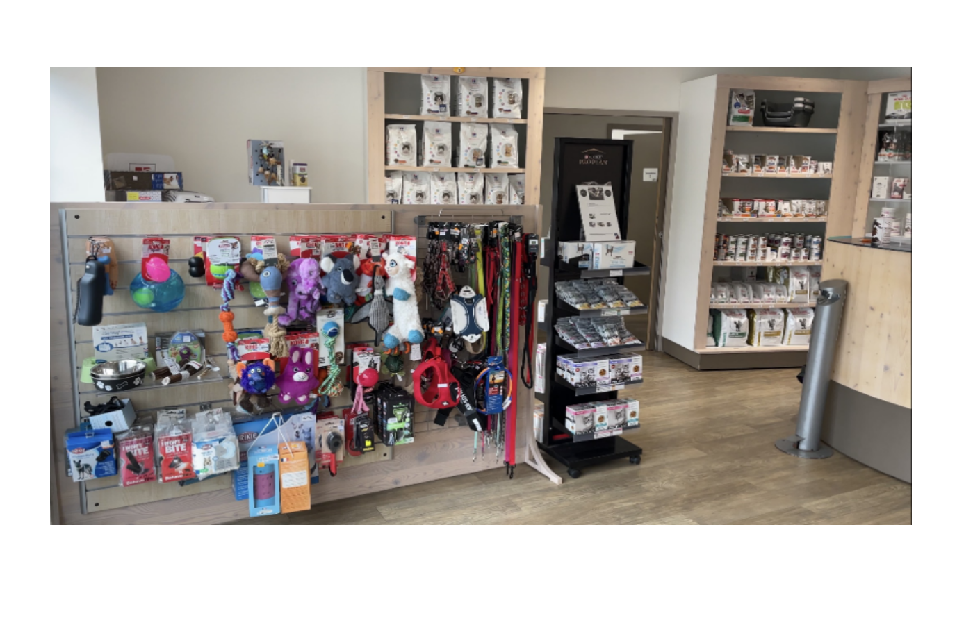 Clinique vétérinaire Arta Leku - photo 2