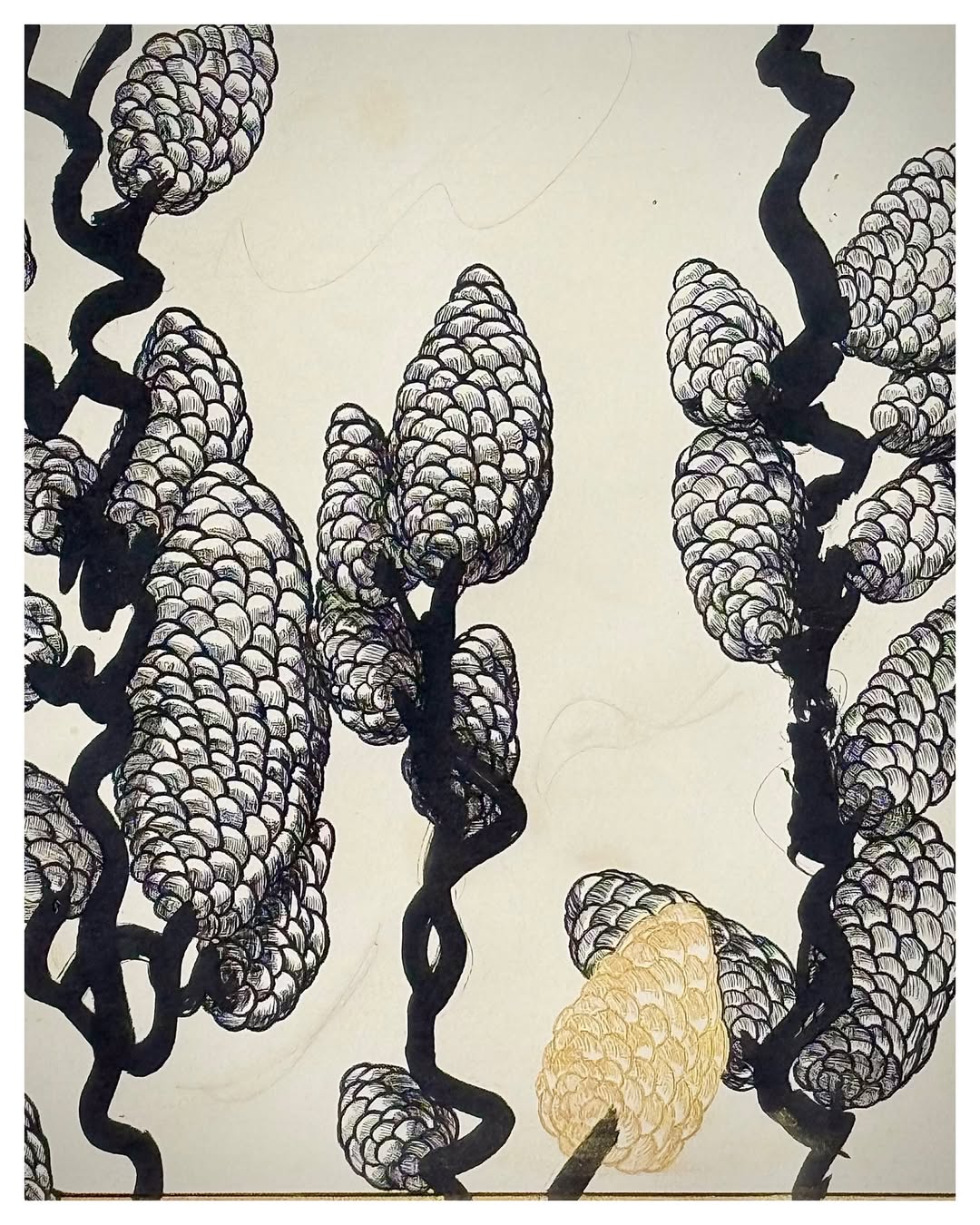 Exposition de l'artiste Clotilde Cazamajour