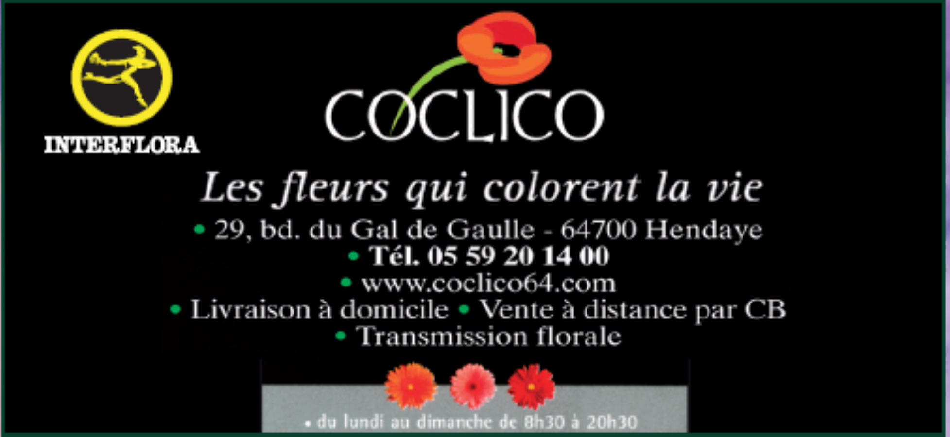 Coclico