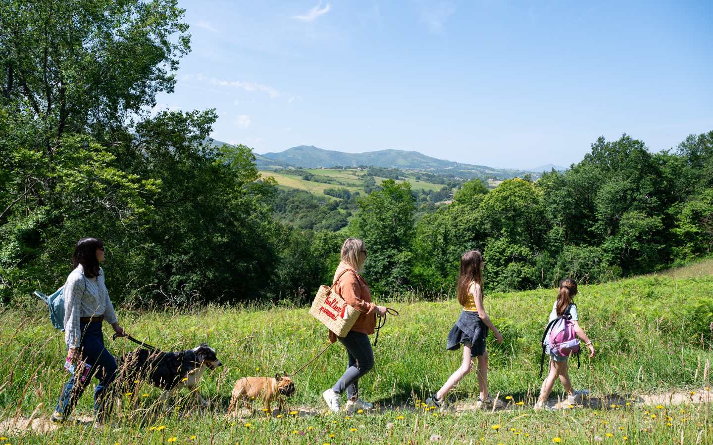 La Colline de la Bergerie