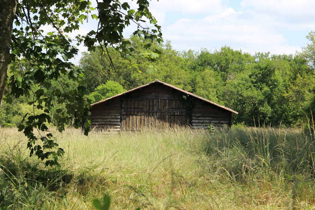 Die Schweinekonsortien