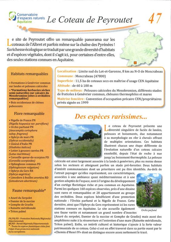 Orchidées des coteaux de l'Albret