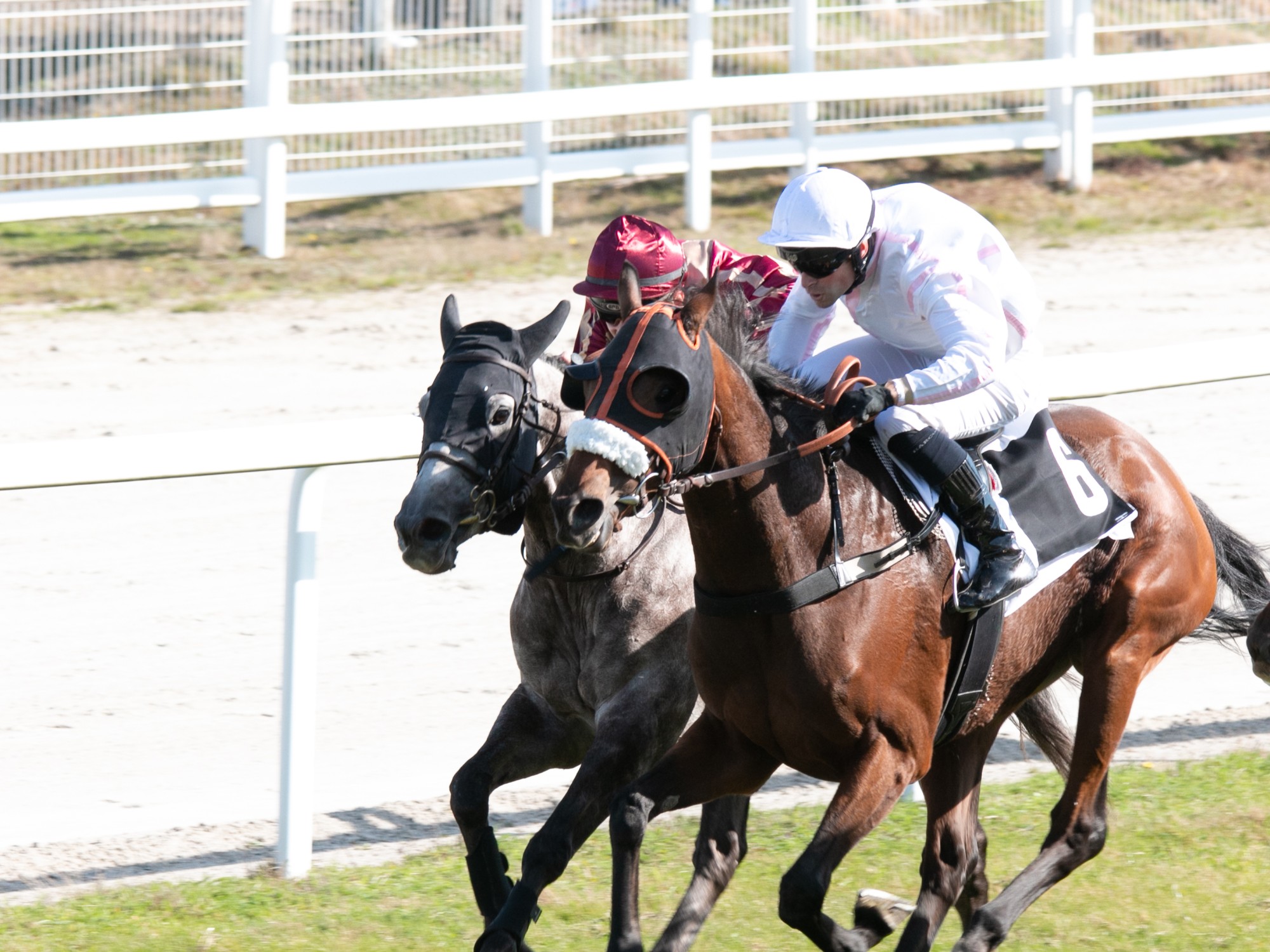Hippodrome de Texonnieras