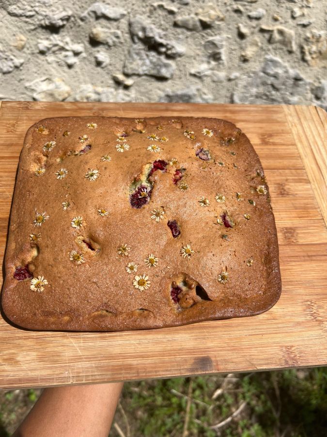 Animation nature en famille : Cuisine Sauvage