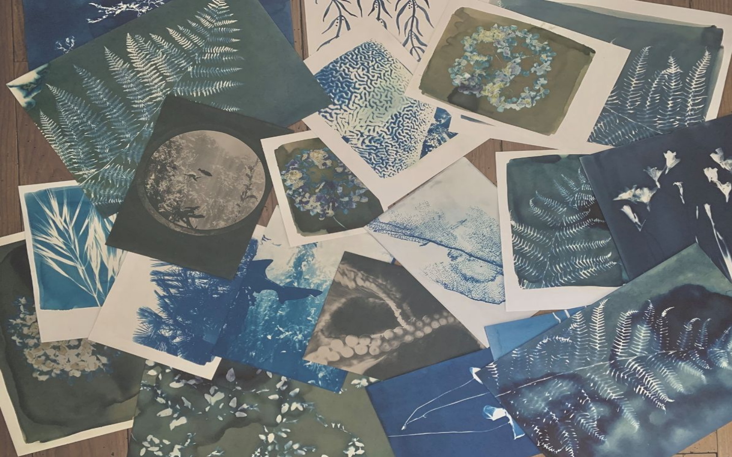 Ateliers Manufacture Pays Basque - Atelier cyanotype enfants