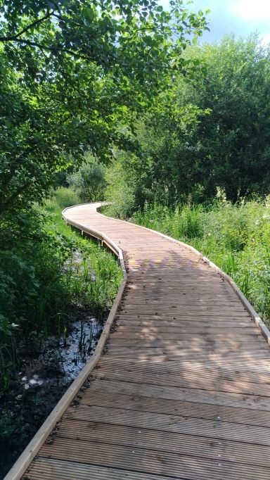 Etang Neuf : Aire de pique-nique et de jeux