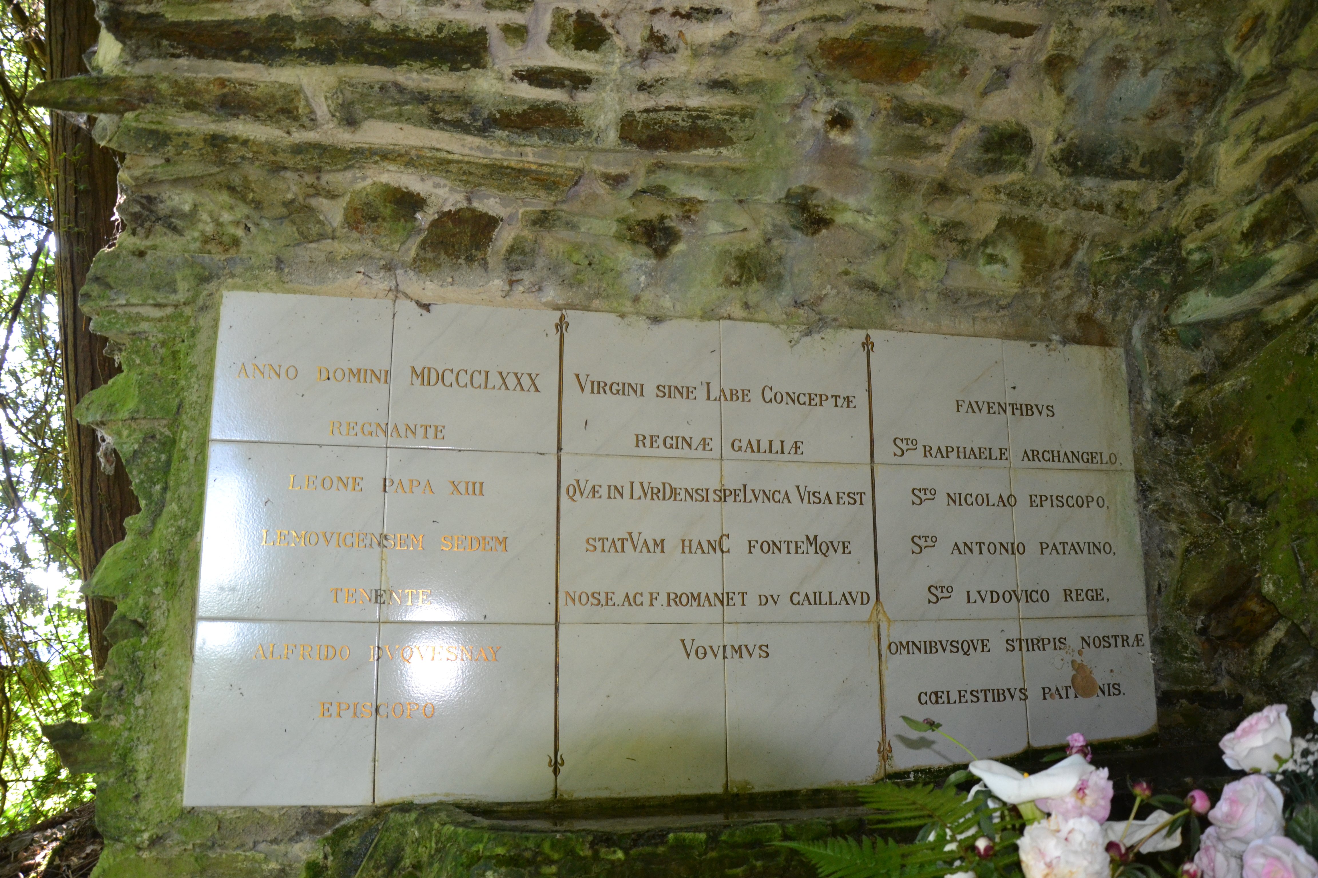 Les ifs de Notre-Dame des Champs