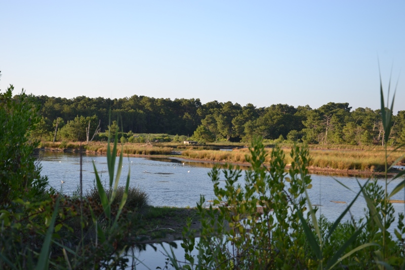 Site naturel des Quinconces
